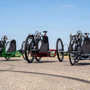 Bicicletta compatta NJ1