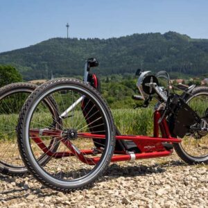 Bicicletta compatta NJ1