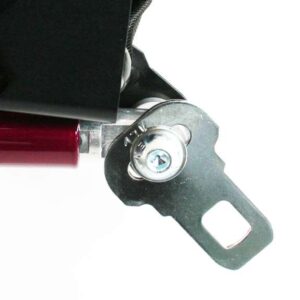 Sistema di collegamento di bloccaggio con linguetta fibbia per il trasporto di persone nei veicoli