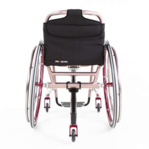 SPEEDY F2 con supporto antiribaltamento centrale adattato